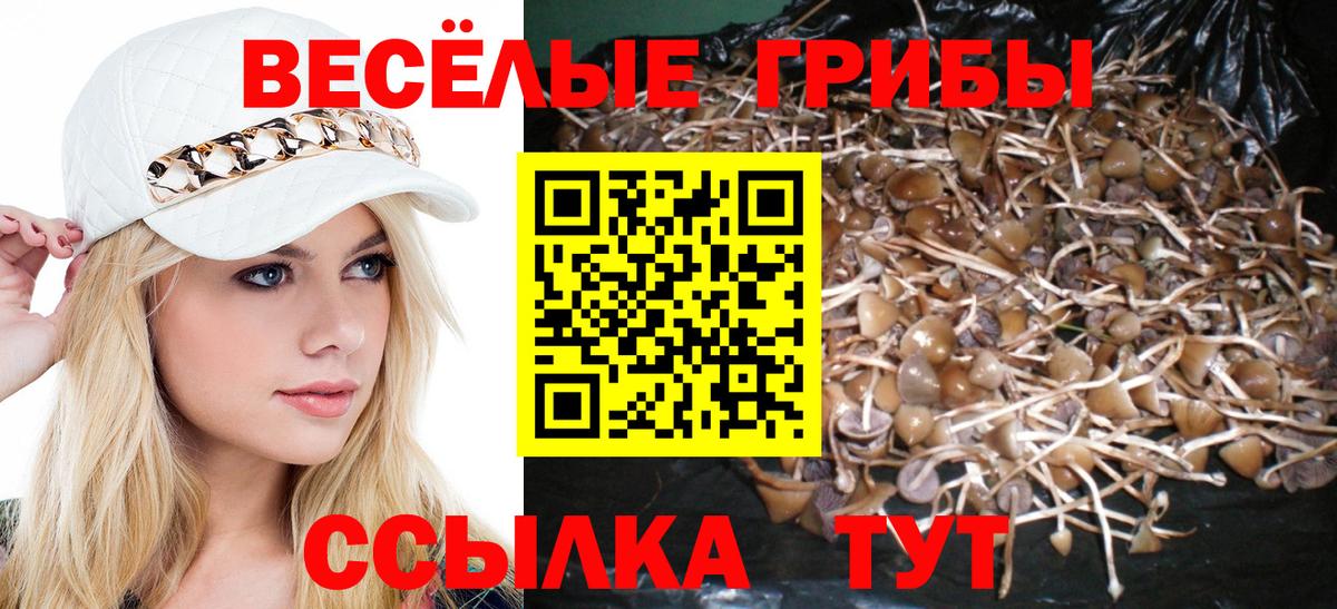 Псилоцибиновые грибы MAGIC MUSHROOMS Нижний Новгород