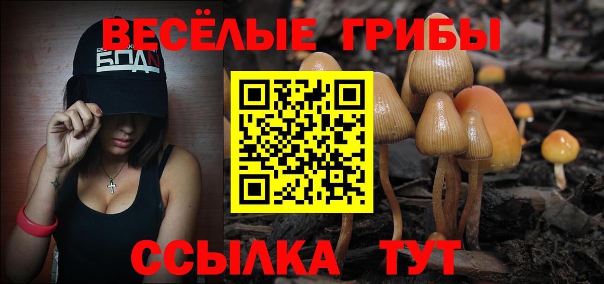 купить закладку  Вход с VPN  Нижний Новгород  Псилоцибиновые грибы GOLDEN TEACHER 